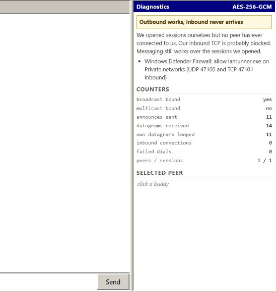 Lanrunner Diagnostics with firewall guidance and live peer and session counters.